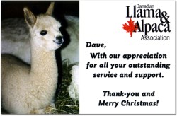 CLAA Christmas Card